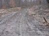 Nazwa pliku=Beskid_Niski_Glayszow_Banica_Bartne_IMG_1494.jpg
Wielkość pliku=310KiB
Rozmiar=907x680
Data dodania= 24, Kwiecień 2017 Beskid_Niski_Glayszow_Banica_Bartne_IMG_1494.jpg