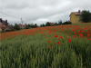 Nazwa pliku=Rowery_20202C_Dzien_IV__Wycieczka_Uli_3.png
Wielkość pliku=2182KiB
Rozmiar=1185x890
Data dodania= 15, Czerwiec 2020 Rowery_20202C_Dzien_IV__Wycieczka_Uli_3.png